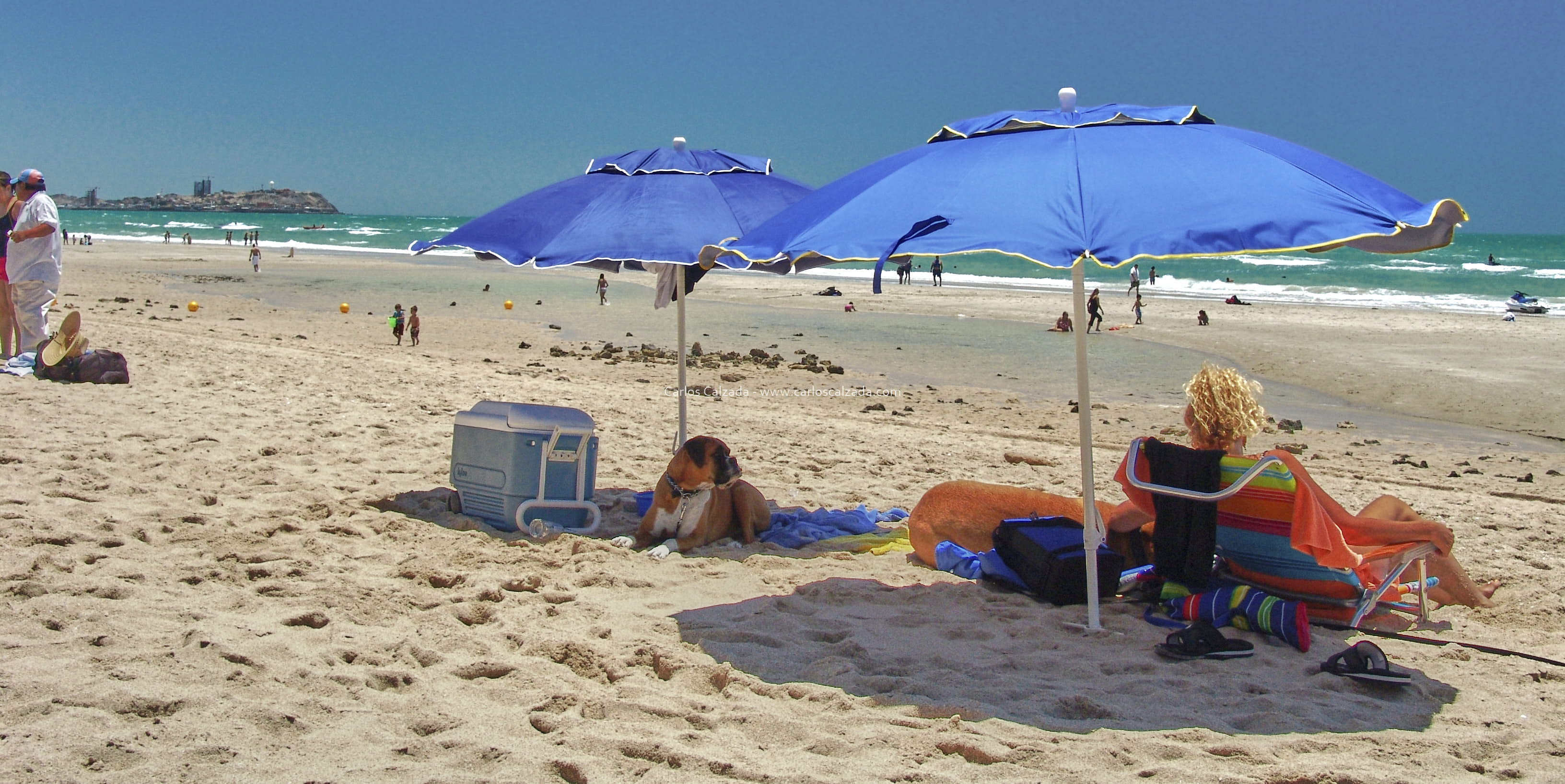 Arenosa_2008 (14).jpg